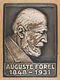 Auguste Forel